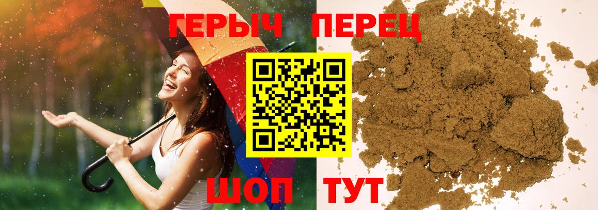 НБОМе Курчалой